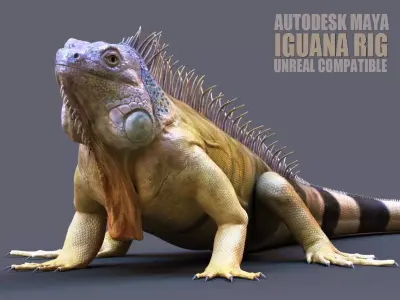 Iguana RIG 3D model