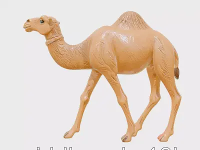 Realistic Camel Desert Animal Model Low-poly 3D model