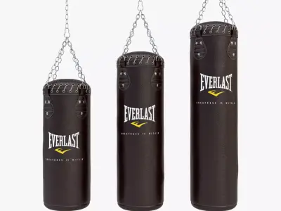 Punching Bag Set 3D model