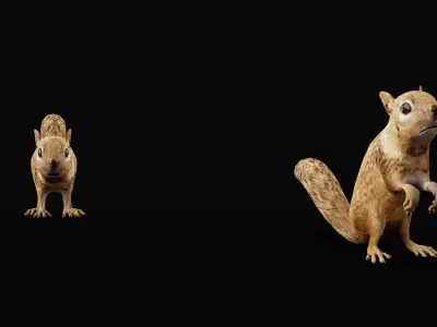 Juvenile California Ground Squirrel Low-poly 3D model