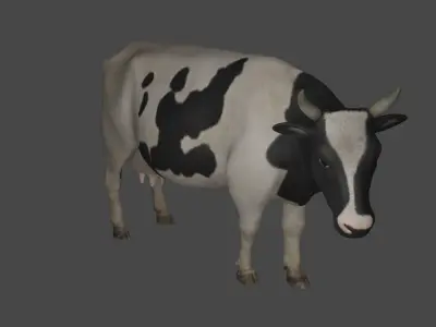 Dairy Cow 3D model