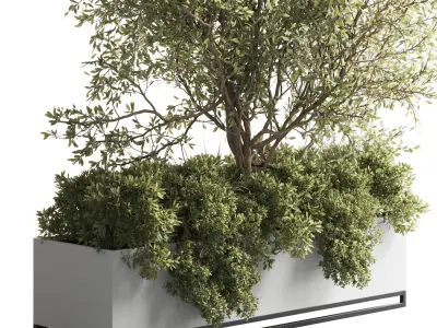 Concrete Box Plants on stand - indoor plant set 432 Low-poly 3D model