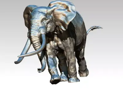 Elephant with long tusks 3D print model