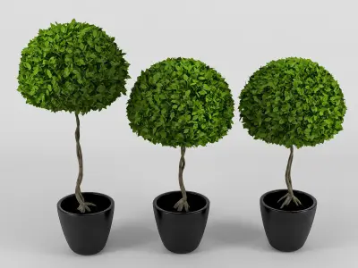 Three plants 3D model