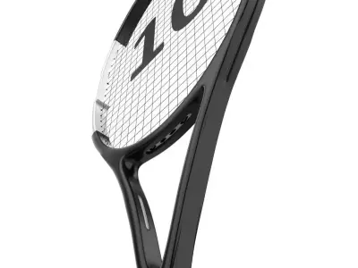 Badminton Racket and Shuttlecock 3D model Low-poly 3D model