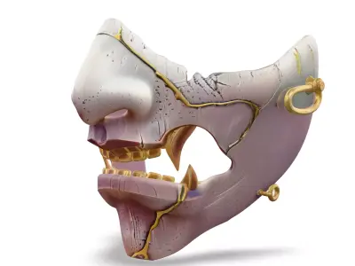 Ghost Of Yotie Main Mask  3D print model