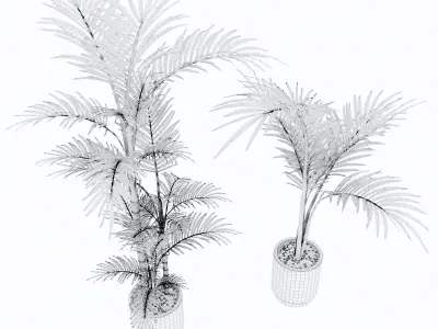 Palm tree 3D model