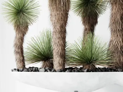 HQ Plants Yucca Elephantipes Queretaroensis Set01 3D model