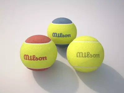 Tennis Balls 3D model