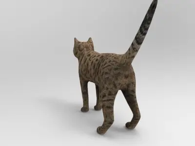 3D Cat game ready low poly model bengal Low-poly 3D model