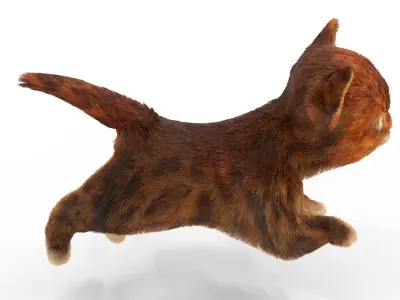 Fur Cute Red Cat Kitten Animated Low-poly 3D model