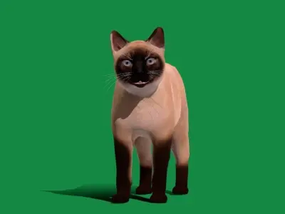 Balinese Thai Siamese Cat  Low-poly 3D model