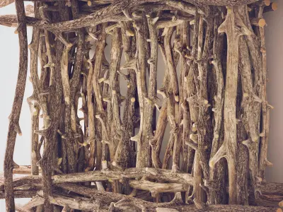 Branch decor old tree Two n2  3D model