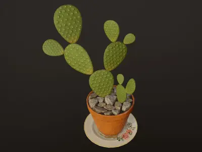 Cactus - PBR Game Ready in pot Low-poly 3D model