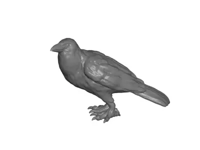 Crow - 3D model