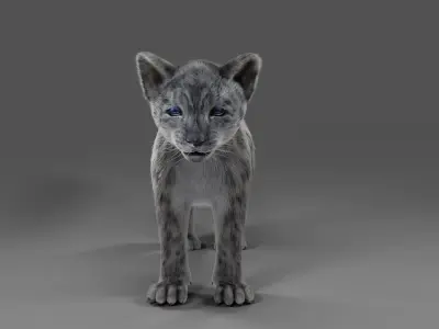 Fur Baby Snow Leopard No Rigged  Low-poly 3D model
