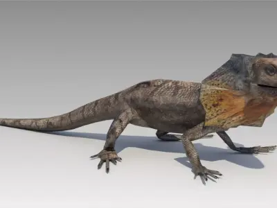 Frill-Necked Lizard Low-poly 3D model