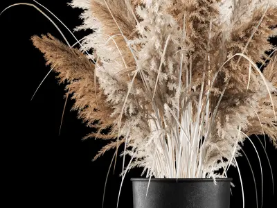 Bouquet Of Dry Reeds In A Black Metal Pot 3D model