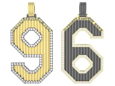 Pedant Numbers 6  and 9 SUPREME LEAGUE OF MAN S 3D print model