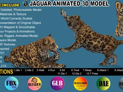 JAGUAR RIGGED ANIMATED 13 Low-poly 3D model