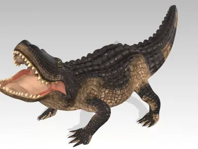 Alligator Animated Low-poly 3D model