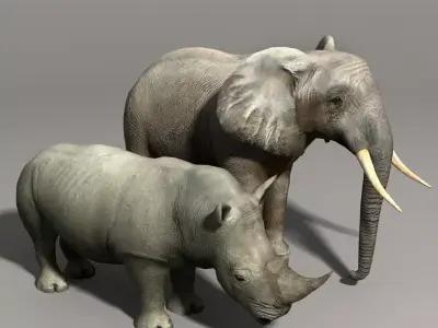 Elephant and Rhino Low-poly 3D model