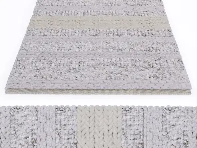 MiiiM Woven Rug 1 3D model