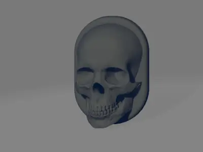 Antenna cover for Harley Davidson - Head skull 3D print model