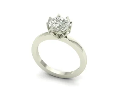 Stone Ring  3D print model