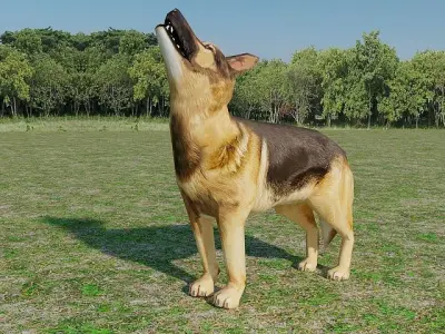 German Shepherd Low-poly 3D model