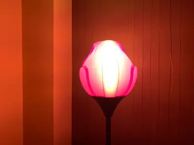 Lamp kit flower colors 3D print model