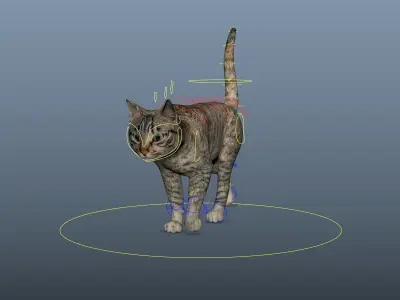 Cat - Rigged Animated Low-poly 3D model