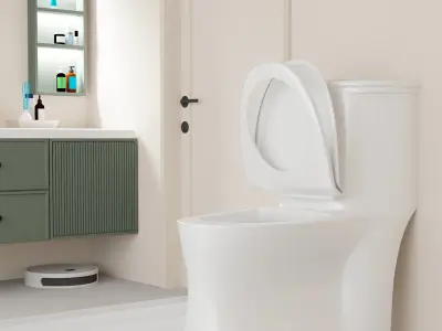 SWIM and SABBIA Bathroom Seats  Free 3D model
