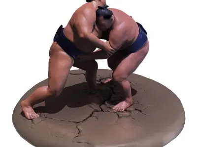 Sumo Fight Scene 3D print model