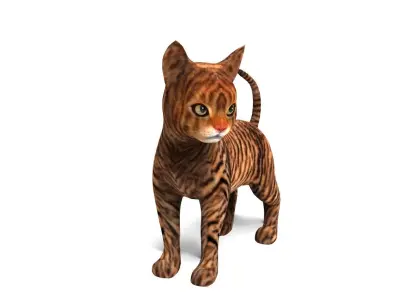 Wild Cute Cat Rigged  Low-poly 3D model