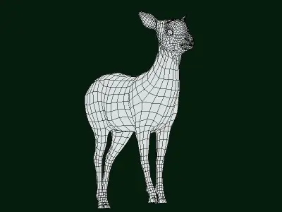 Fawn Sitka Blacktail Deer Low-poly 3D model