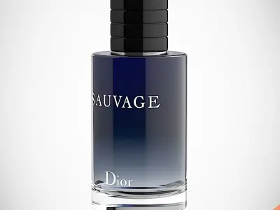 DIOR SAUVAGE 3D model