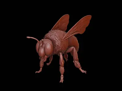Bee Animal Sculpture 3D print model purchase