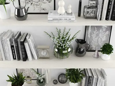 Decorative set shelves with plants and books Low-poly 3D model