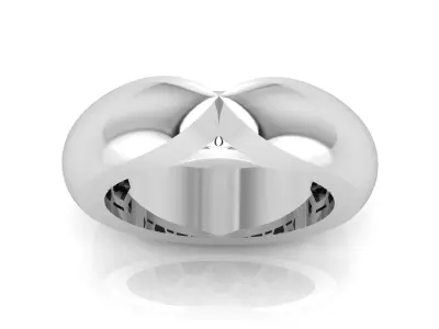  Survival Ring 3D print model