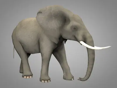 Elephant with tusks Low-poly 3D model