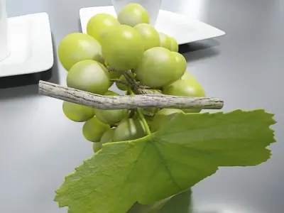 Green Grapes High Detail 3D model