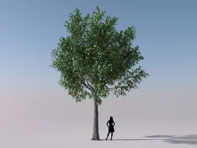 Low Poly Orange tree Low-poly 3D model