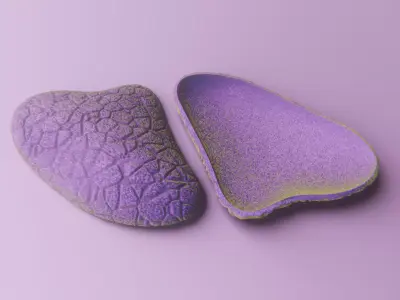 Realistic Decorative Oyster Shell vol 10 3D print model