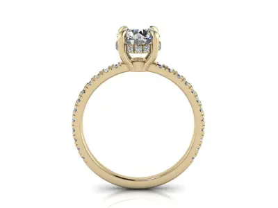 Engagment Jewelry Ring 205 3D print model