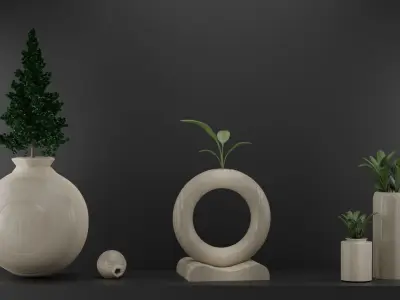 Decoration different vases and plants on shelf 3D model