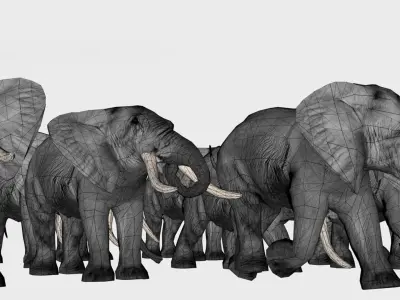 Elephant family 3D model