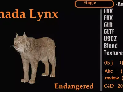 Canadian Lynx 3D model
