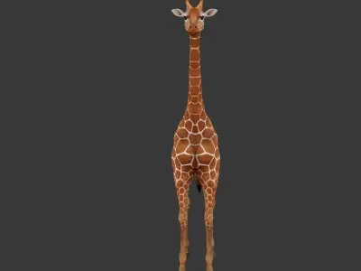 giraffe Low-poly 3D model