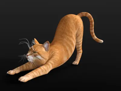 Orange cat Low-poly 3D model